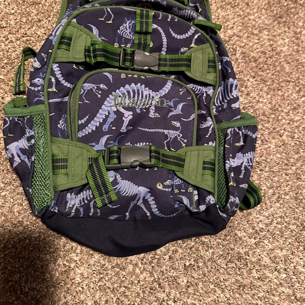 Pottery Barn backpack